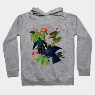 Audubons White crowned pigeon Hoodie